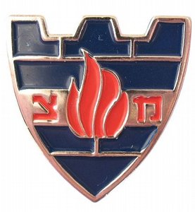 IDF Military Police Enamel Pin Matzah Shield & Flame Badge IDF Military Police Enamel Pin Matzah Shield & Flame Badge