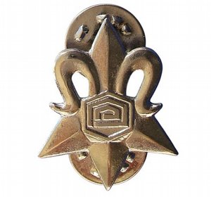 Israeli Police Intelligence Badge Pin Police Intelligence Unit Insignia Israeli Police Intelligence Badge Pin Police Intelligence Unit Insignia