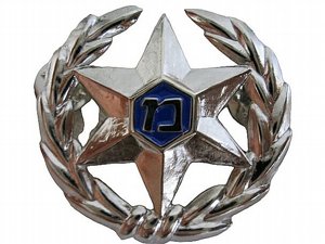 Israel Police Blue Beret Badge Israeli National Police Cap Insignia Israel Police Blue Beret Badge Israeli National Police Cap Insignia