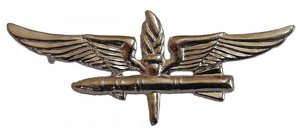 IDF Air Force Armament Personnel Badge Aircraft Weapons Crew Pin IDF Air Force Armament Personnel Badge Aircraft Weapons Crew Pin